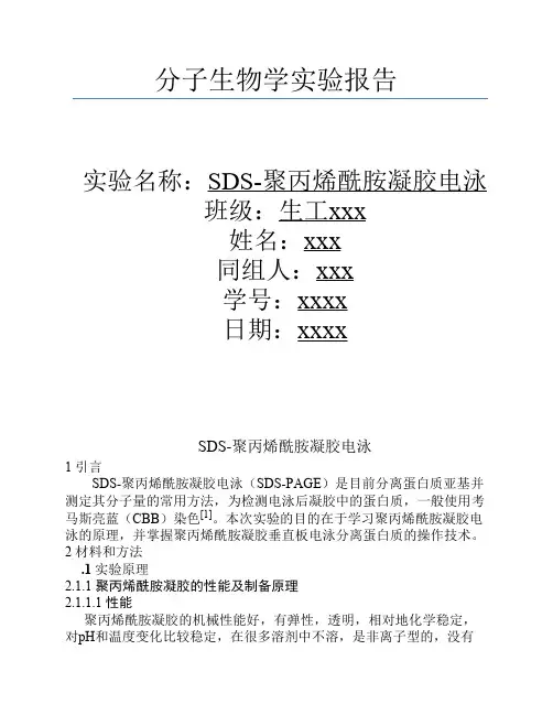 SDS-聚丙烯酰胺凝胶电泳实验报告.