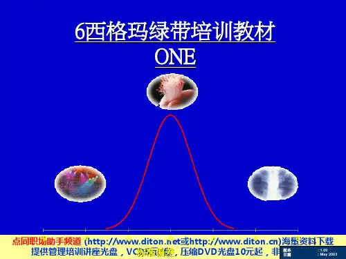 6西格玛绿带培训教材(1)