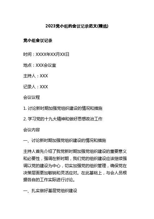 2023党小组的会议记录范文(精选)