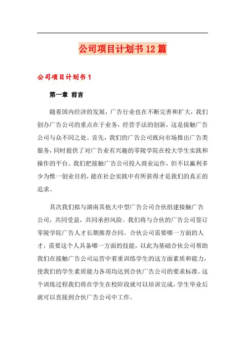公司项目计划书12篇