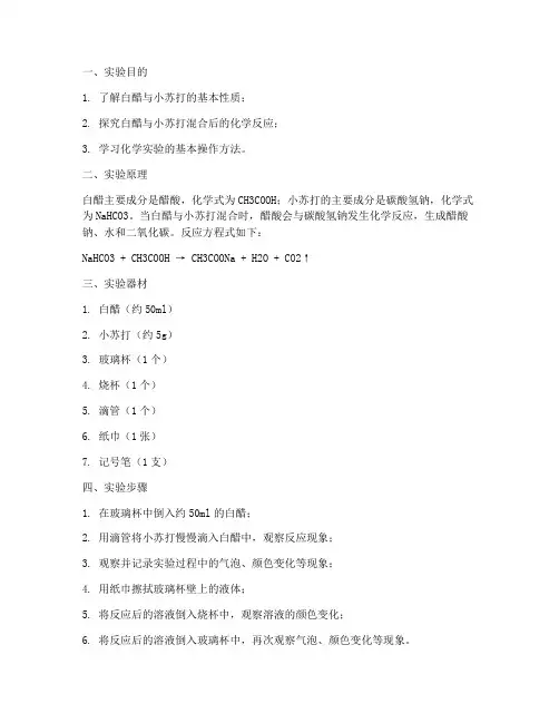 白醋小苏打小实验报告