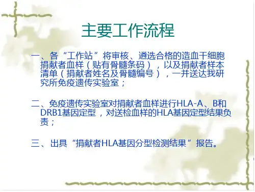 造血干细胞捐献者的hla基因分型
