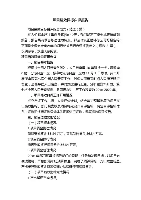 项目绩效目标自评报告范文（精选5篇）