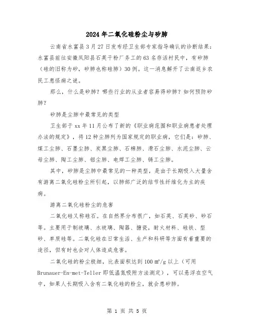 2024年二氧化硅粉尘与矽肺(2篇)