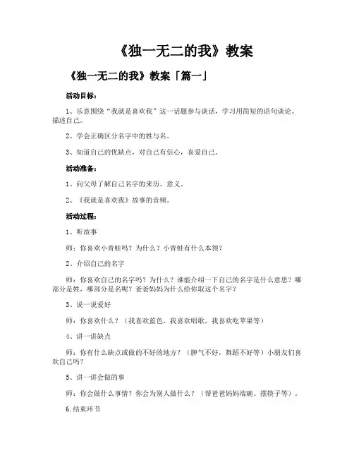 《独一无二的我》教案