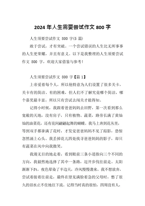 2024年人生需要尝试作文800字