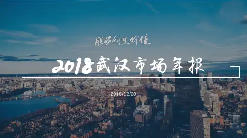 武汉地产年报2018