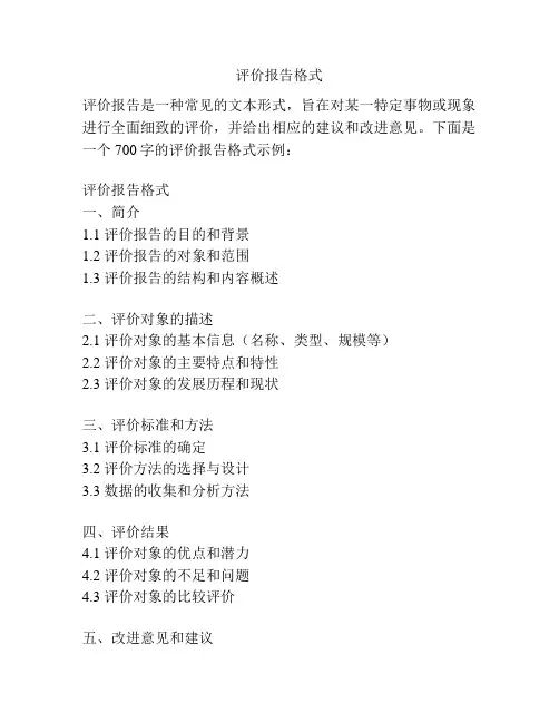 评价报告格式