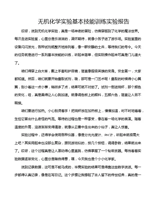 无机化学实验基本技能训练实验报告