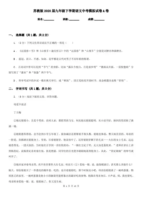 苏教版2020届九年级下学期语文中考模拟试卷A卷