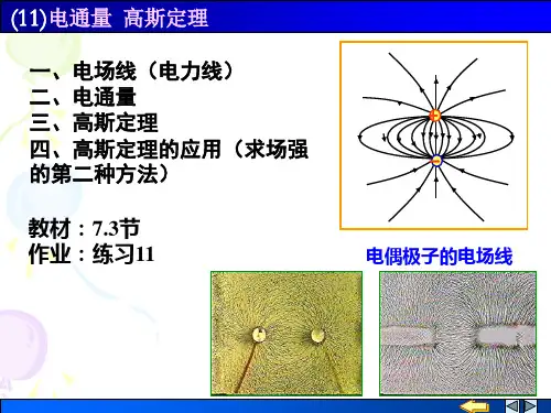 (11)电通量、高斯定理