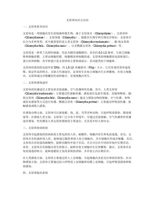 支原体知识点总结