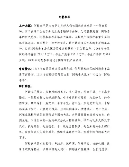 阿勒泰羊