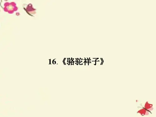 人教版语文选修《骆驼祥子》ppt课件1