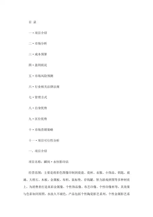 3D打印创业计划书