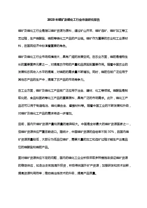 2023年磷矿及磷化工行业市场研究报告