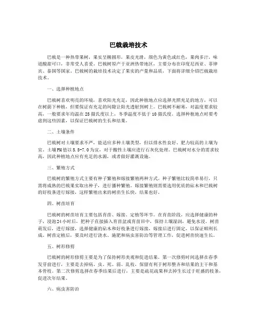 巴戟栽培技术
