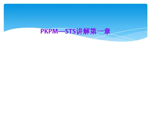 PKPM—STS讲解第一章