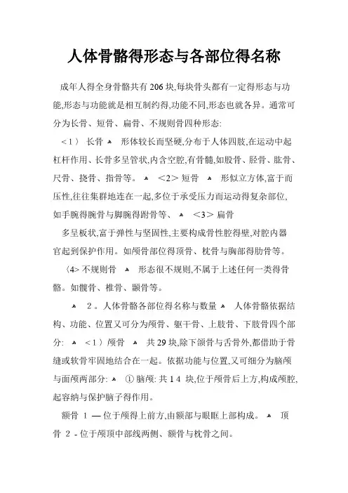 人体骨骼的形态和各部位的名称