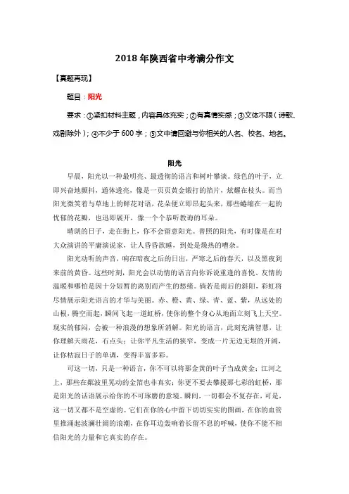 2018年陕西省中考满分作文《阳光》6