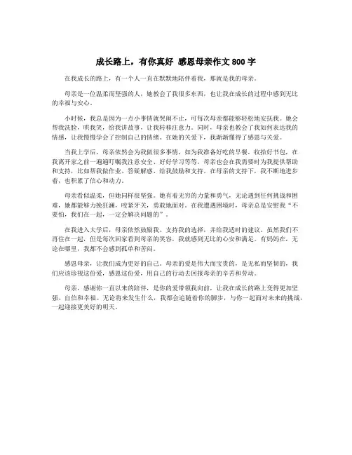 成长路上,有你真好 感恩母亲作文800字