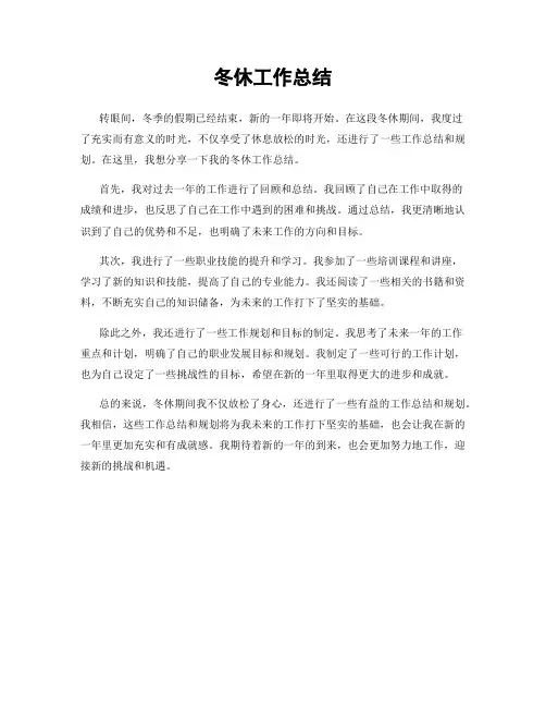 冬休工作总结