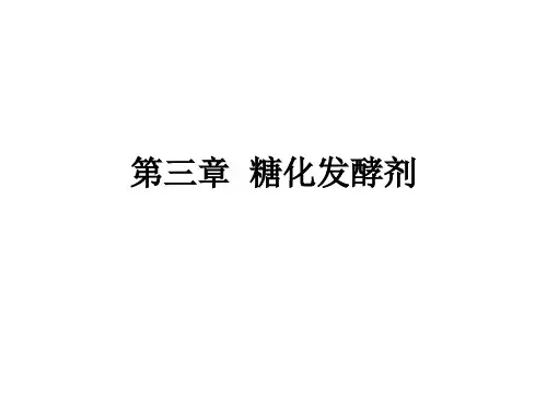 糖化发酵剂