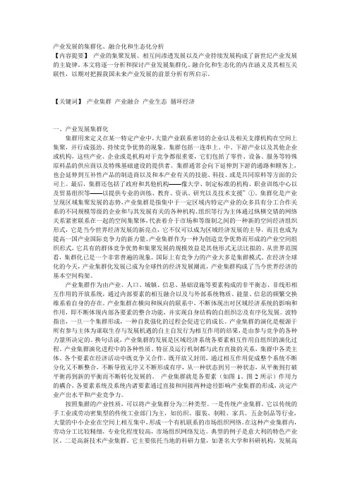 产业发展的集群化
