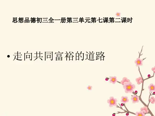 新人教版九年级初三思想品德思想品德第七课第二框走共同富裕的道路