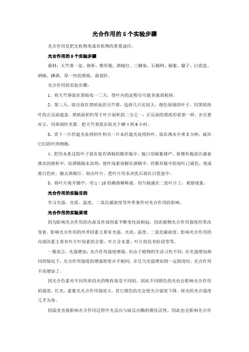 光合作用的5个实验步骤
