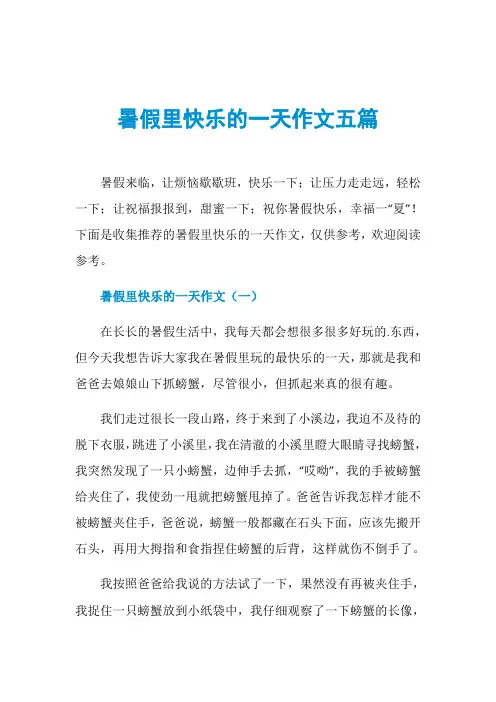 暑假里快乐的一天作文五篇