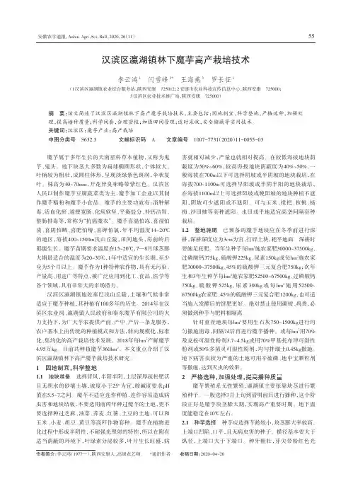 汉滨区瀛湖镇林下魔芋高产栽培技术