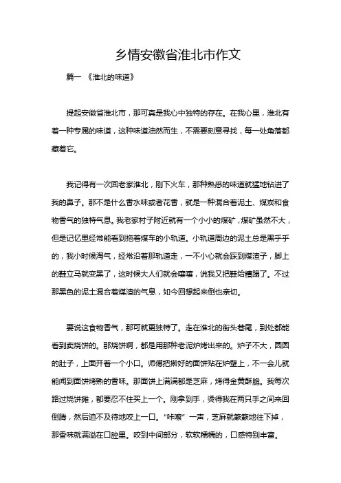 乡情安徽省淮北市作文