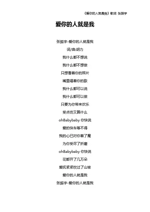 《爱你的人就是我》歌词 张振宇