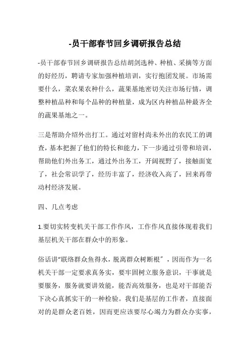 -员干部春节回乡调研报告总结