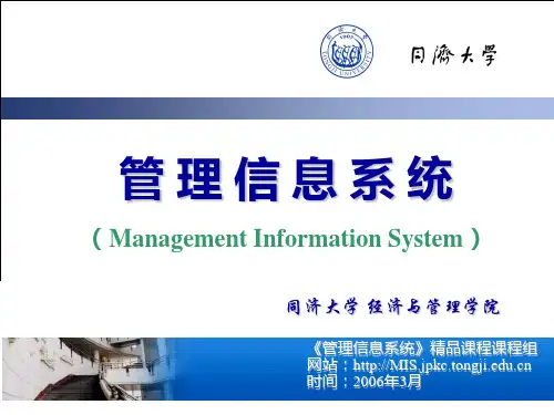 管理信息系统ManagementInformationSystem)