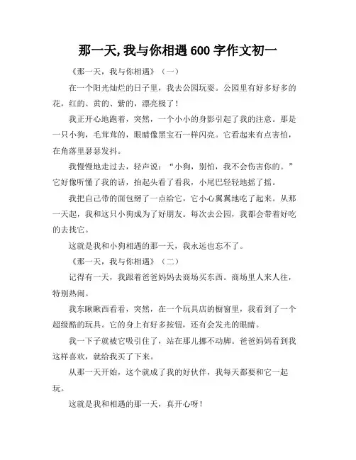 那一天,我与你相遇600字作文初一