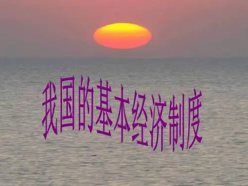 高一政治我国的基本经济制度1