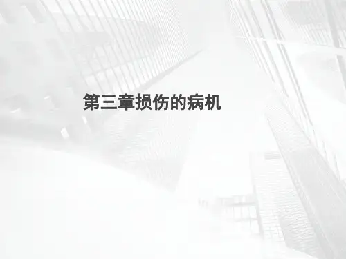 中医骨伤学基础教学课件第三章损伤的病机