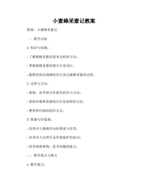 小蜜蜂采蜜记教案