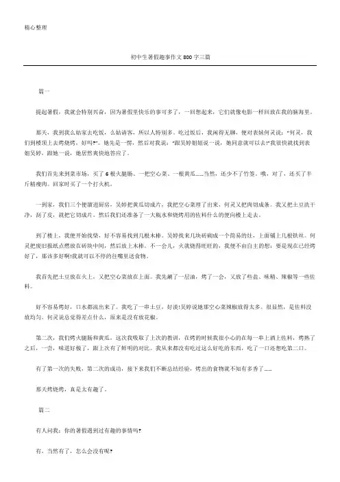 初中生暑假趣事作文800字三篇