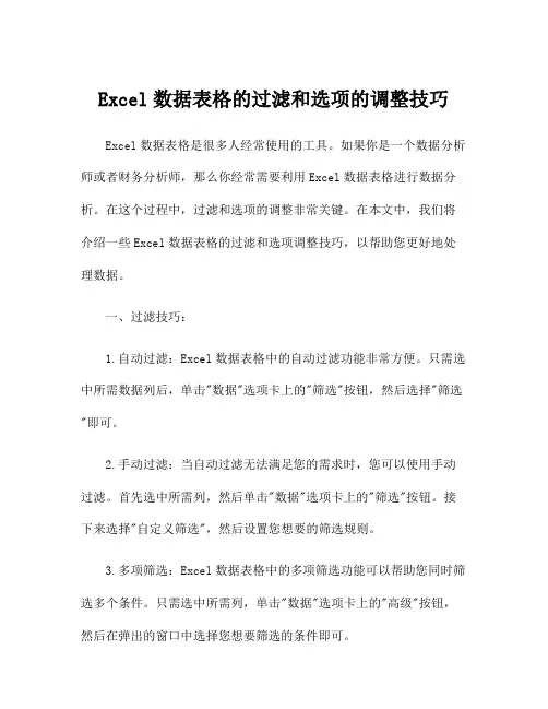 Excel数据表格的过滤和选项的调整技巧