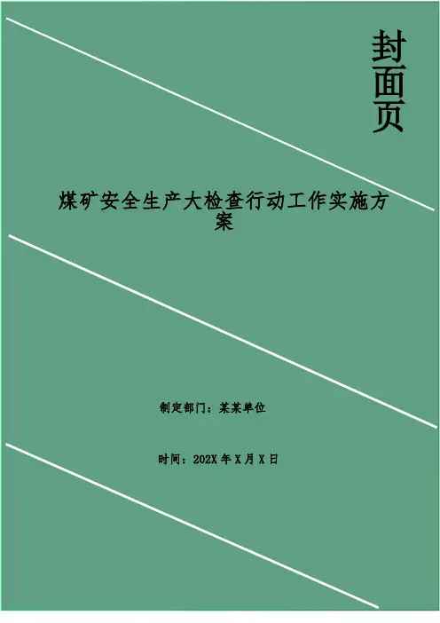 煤矿安全生产大检查行动工作实施方案