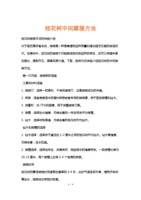 桂花树中间嫁接方法