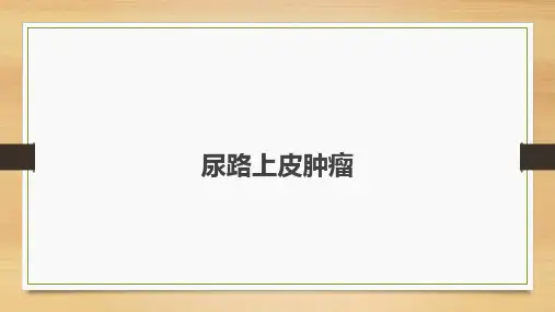尿路上皮肿瘤