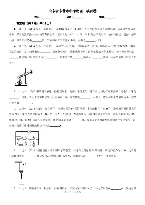 山东省东营市中考物理三模试卷