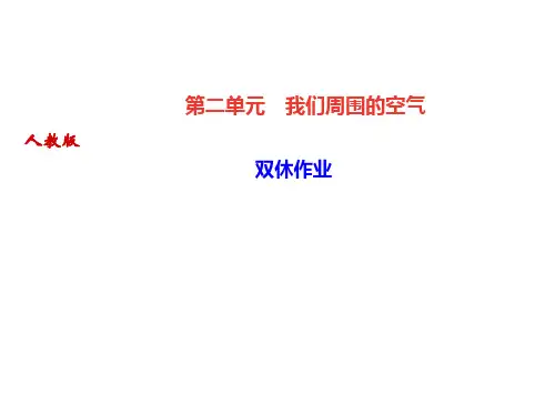 人教版九年级化学上册精练课件：第二单元  双休作业(共22张PPT)