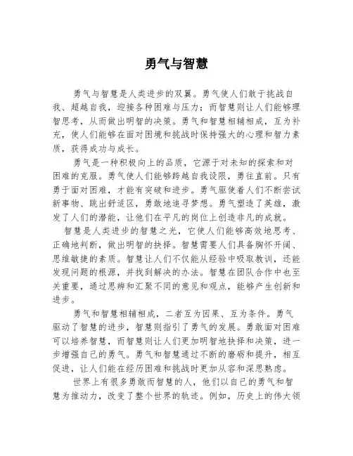 勇气与智慧