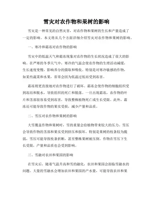 雪灾对农作物和果树的影响