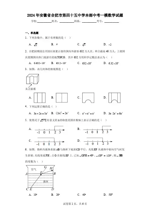 2024年安徽省合肥市第四十五中学本部中考一模数学试题